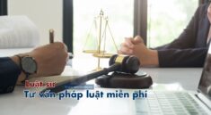 Tổng đài Luật sư tư vấn pháp luật miễn phí online trực tuyến qua điện thoại zalo