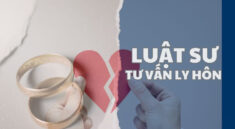 Luật sư tư vấn ly hôn - Luật sư tư vấn luật hôn nhân gia đình