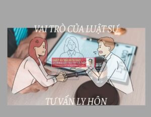 Vai trò của luật sư ly hôn, Luật sư tư vấn hôn nhân gia đình