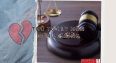 Quy trình thủ tục ly hôn đơn phương, Luật ly dị đơn phương