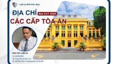 Địa chỉ tòa án nhân dân cấp tỉnh, thành phố, toàn án nhân dân khu vực sau 1/7/2025