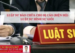 Luật sư bào chữa cho bị cáo (Biện hộ) - Luật sư hình sự giỏi